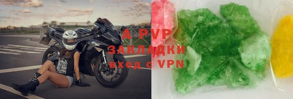 индика Корсаков