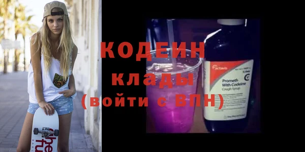 индика Корсаков