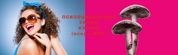 индика Корсаков