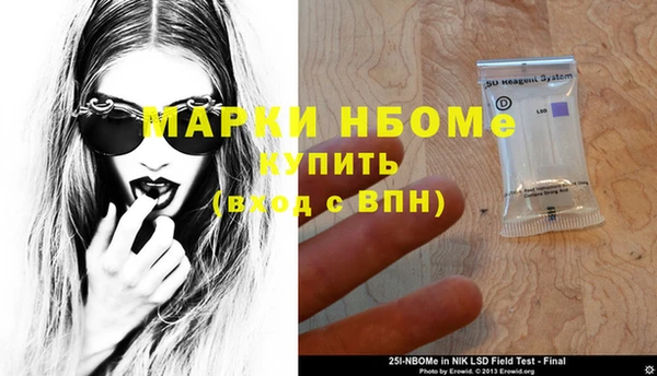 индика Корсаков