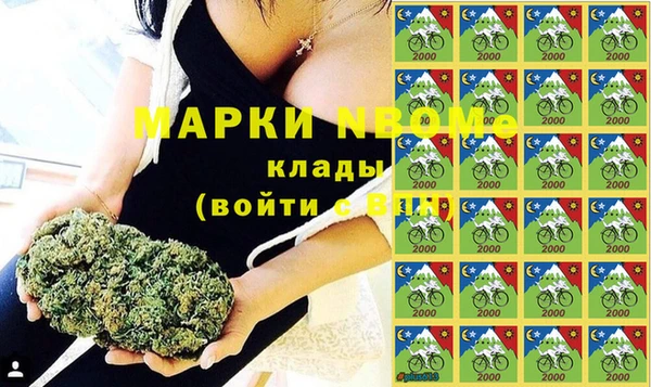 индика Корсаков